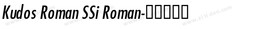 Kudos Roman SSi Roman字体转换